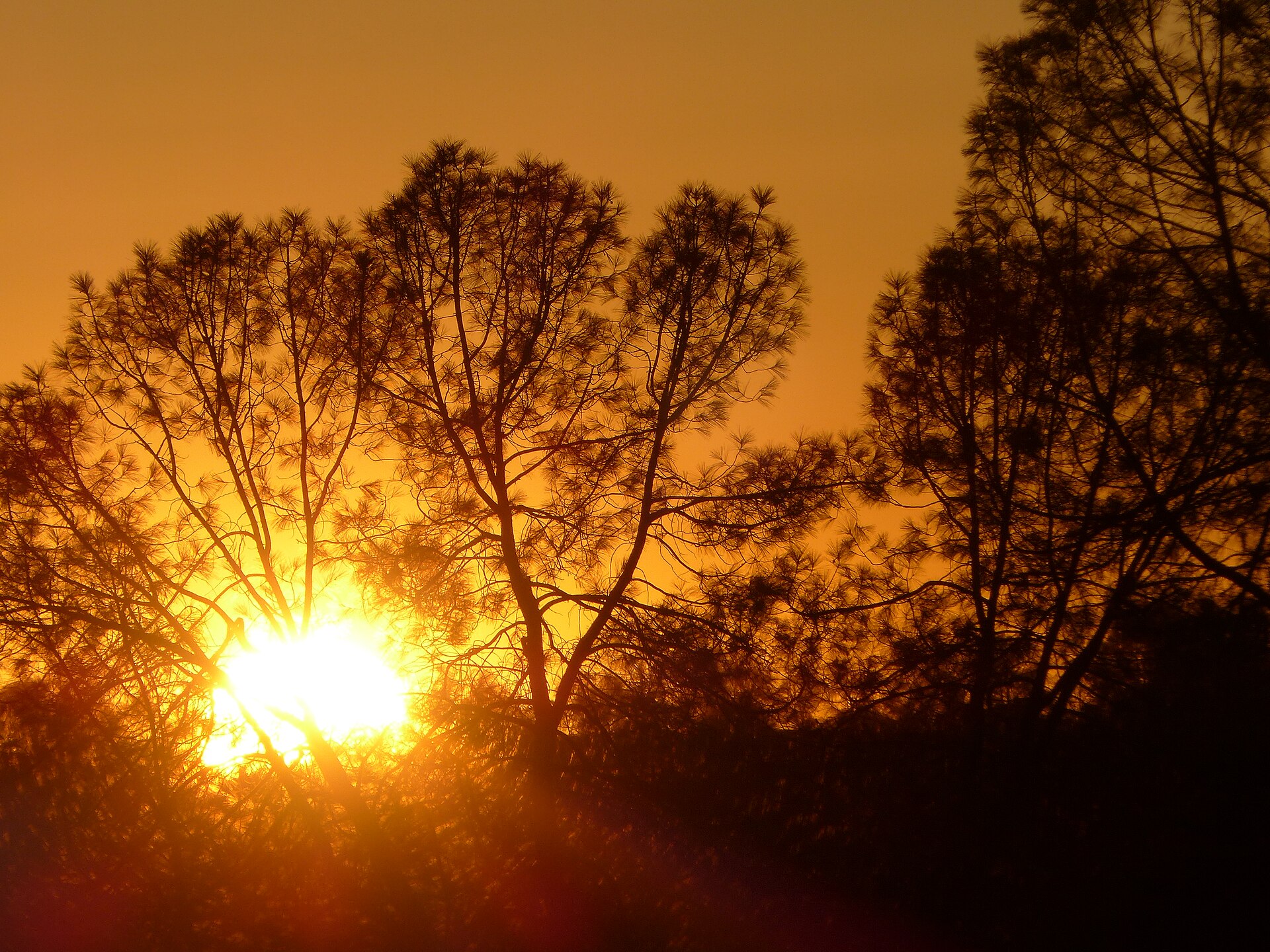 Warm sunset over the Coarsegold foothills