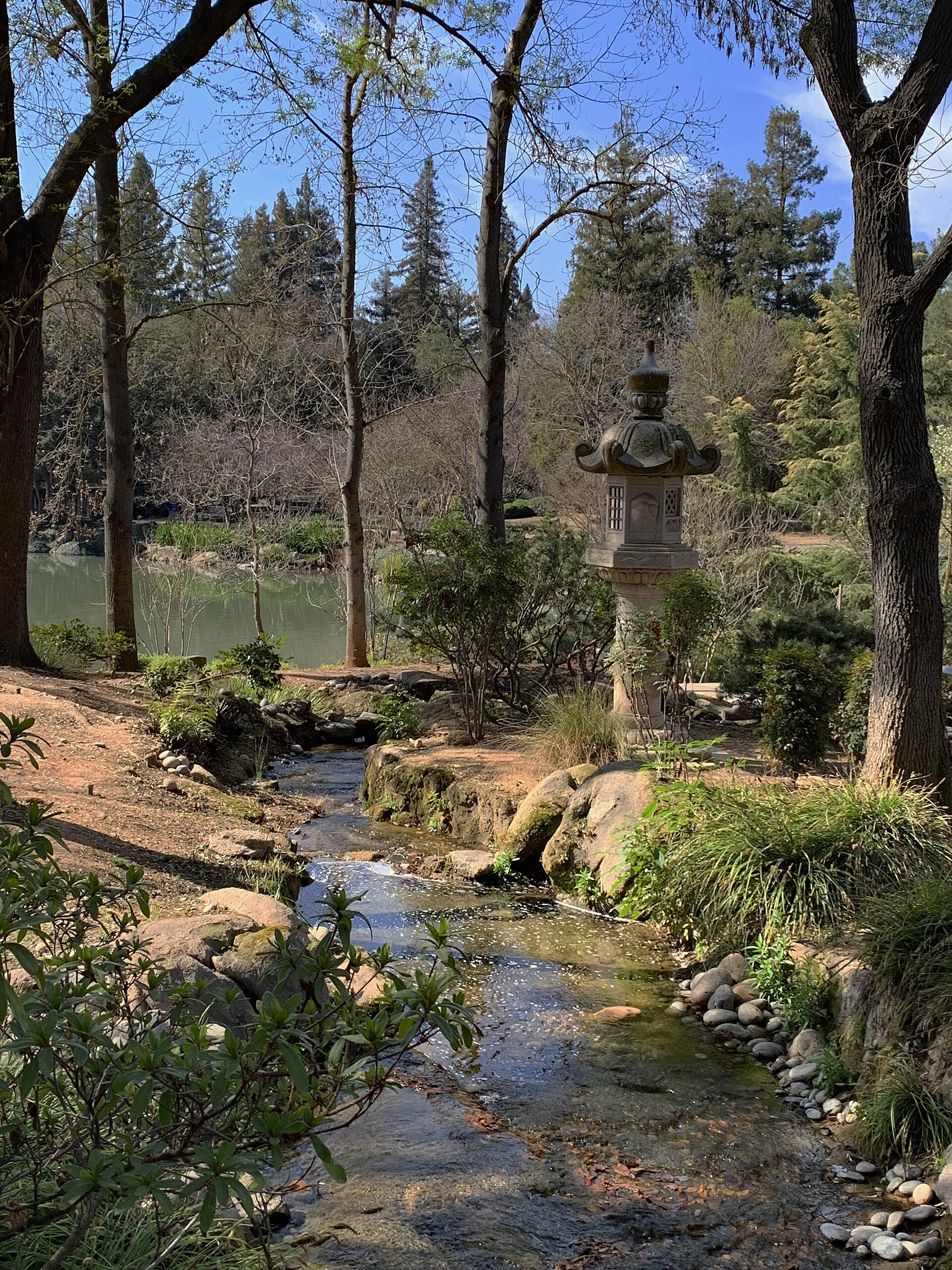 Landscaped pond and colorful foliage at Fresno's Shinzen Friendship Garden